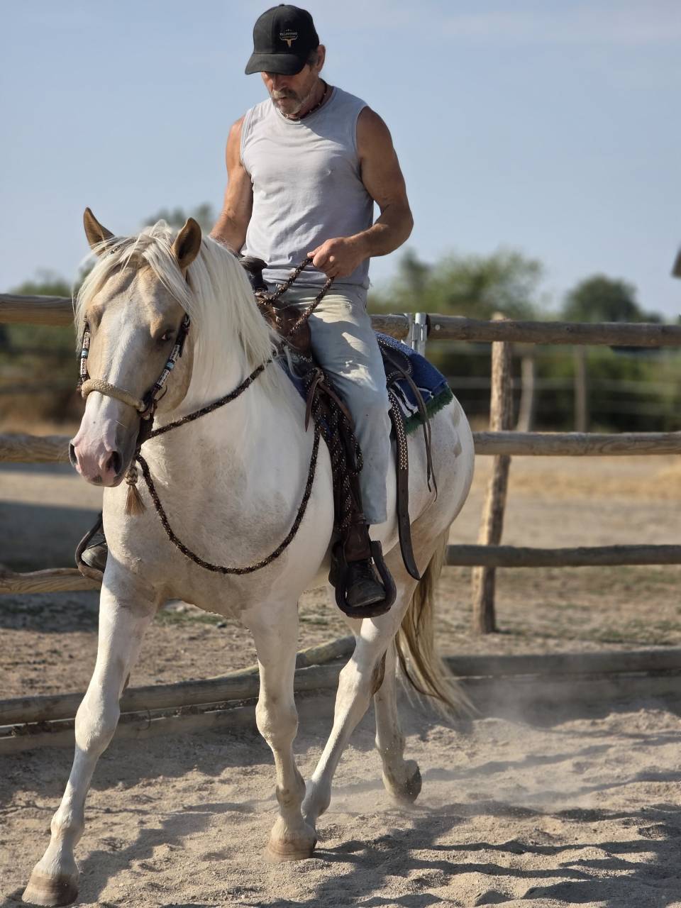 Intero Quarter Horse In vendita 2020 Palomino