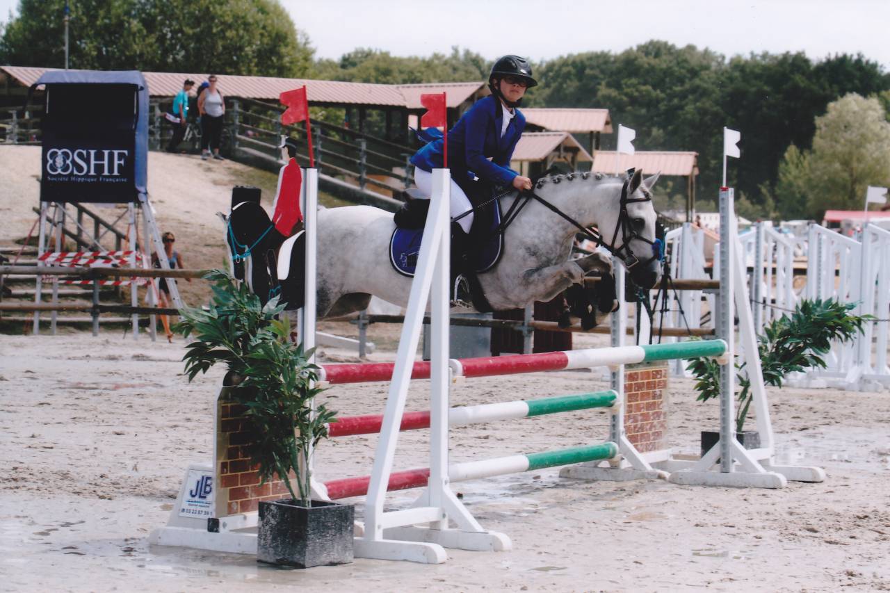 Fattrice Welsh Poney (Sezione B) In vendita 2006 Grigio ,  Hercule d'audes
