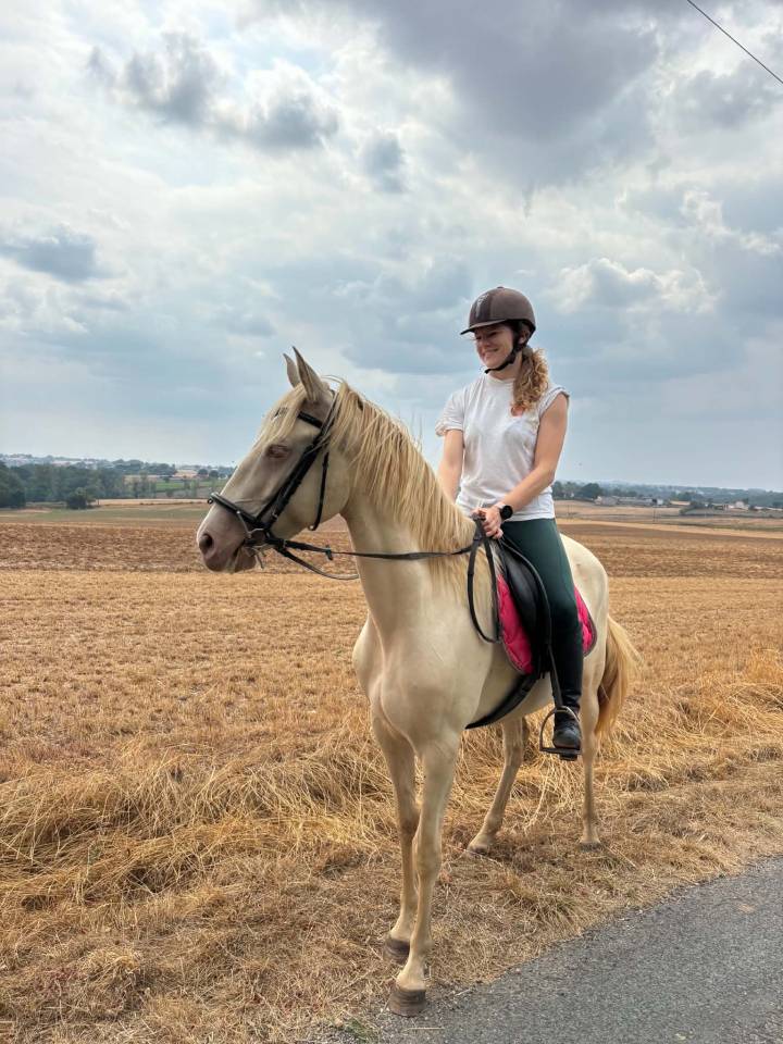 Cavalla Lusitano In vendita 2023 Crema ,  X&aacute;