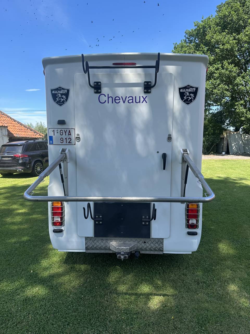 Van per Cavalli Renault Master  2020 Occasione