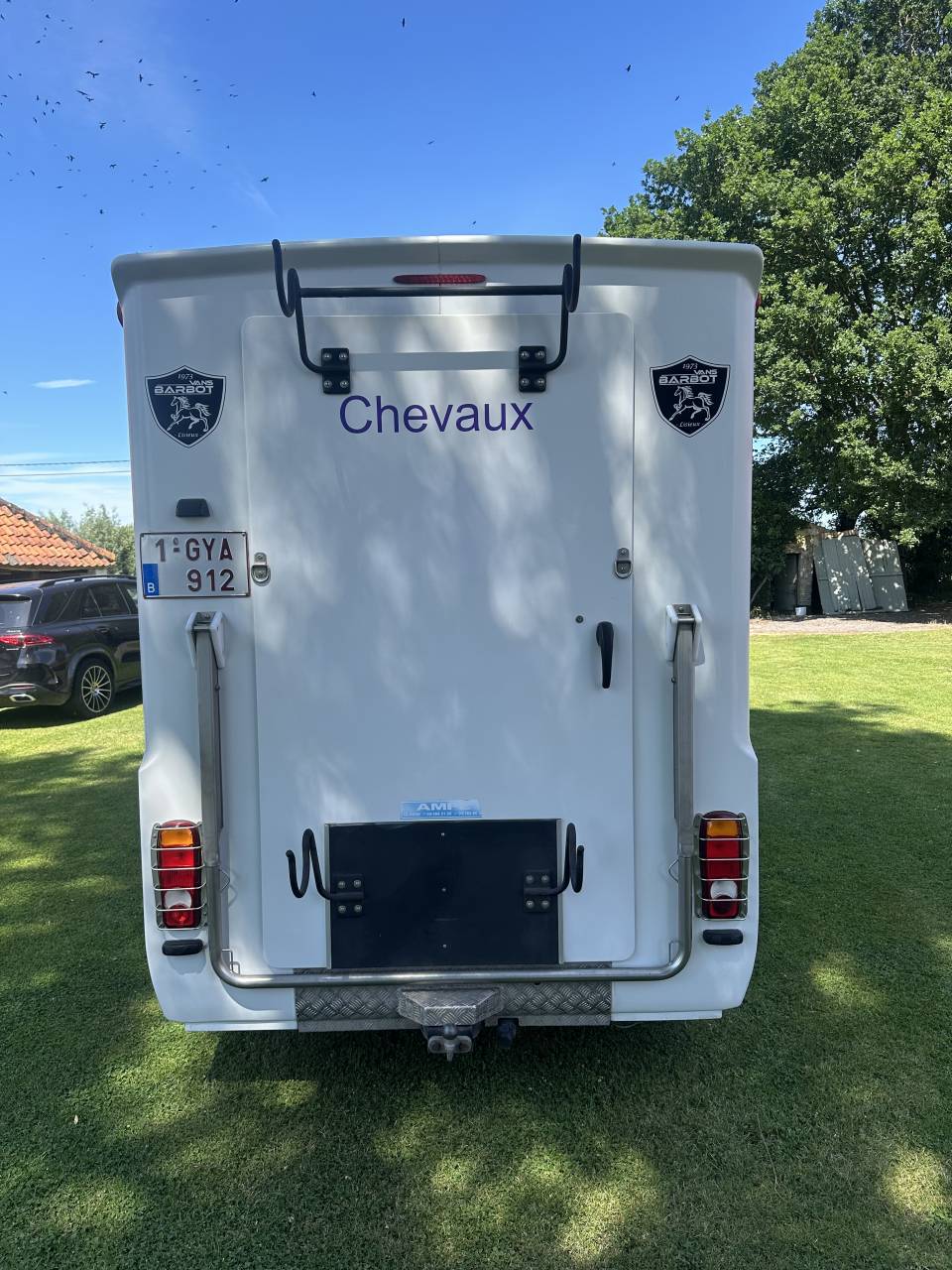 Van per Cavalli Renault Master  2020 Occasione