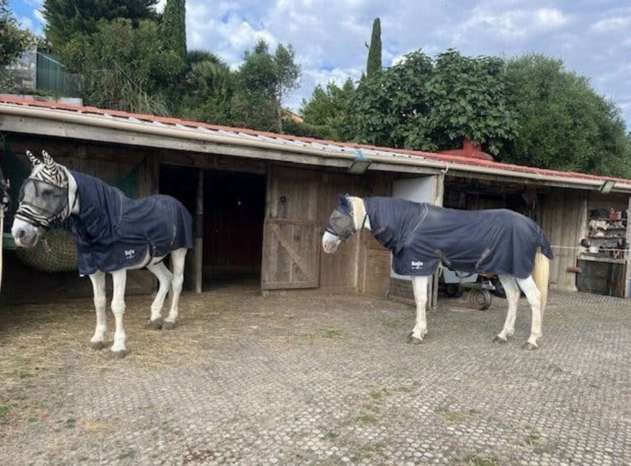 Bella dimora equestre In vendita Aude