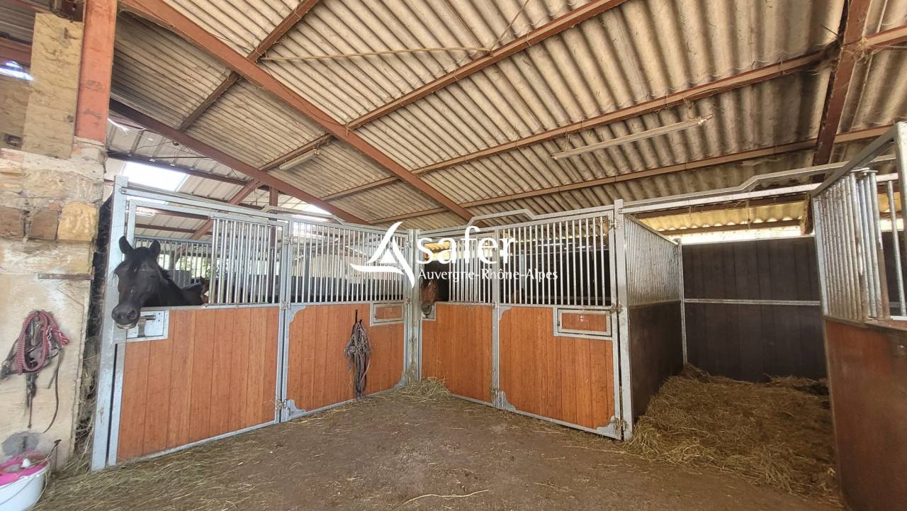 Propriet&agrave; equestre In vendita Allier
