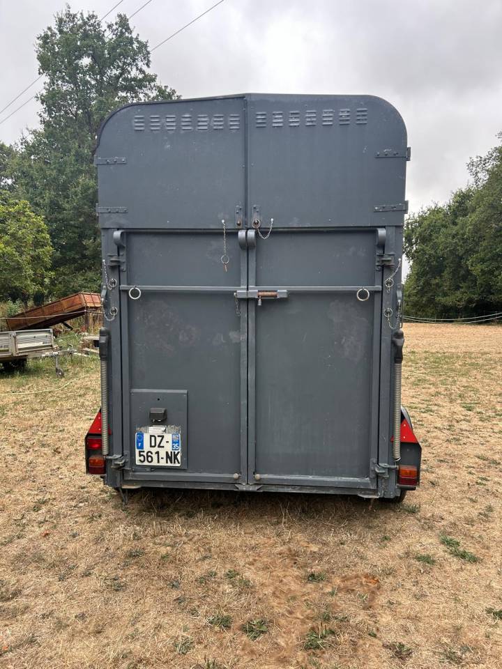 Trailer Ifor Williams HB505R 2 Cavalli 1996 Occasione