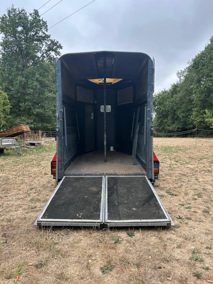 Trailer Ifor Williams HB505R 2 Cavalli 1996 Occasione