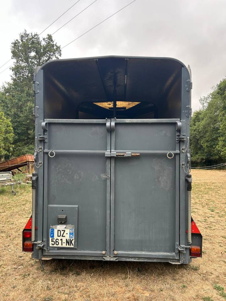 Trailer Ifor Williams HB505R 2 Cavalli 1996 Occasione