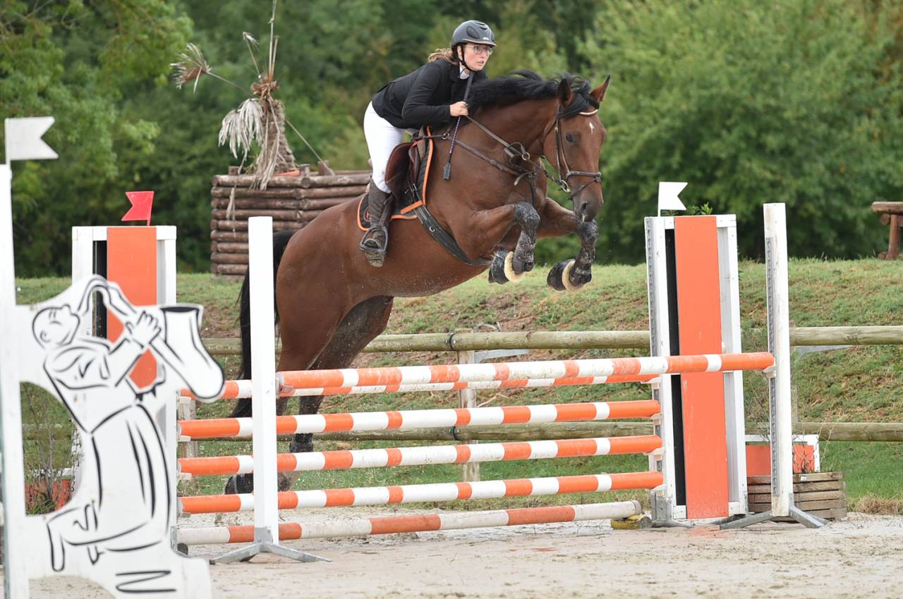 Cavalla BWP Cavallo da Sangue Belgio In vendita 2016 Baio ,  Prince van de Wolfsakker