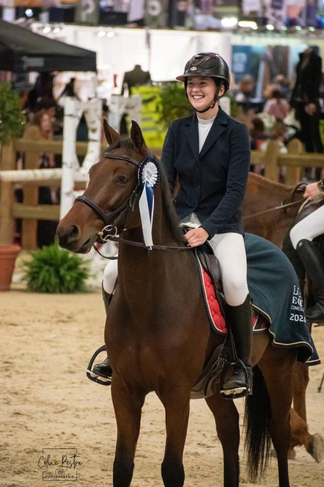 Castrone Zangersheide In vendita 2018 Baio ,  Windbreaker H