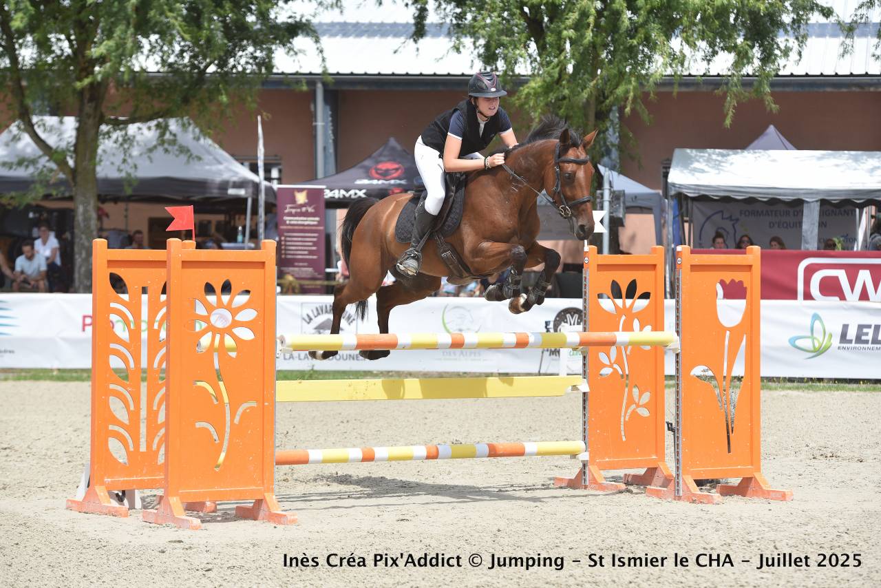 Castrone Zangersheide In vendita 2018 Baio ,  Windbreaker H
