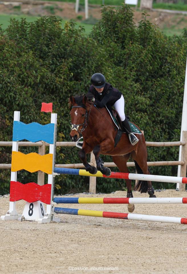pony in vendita