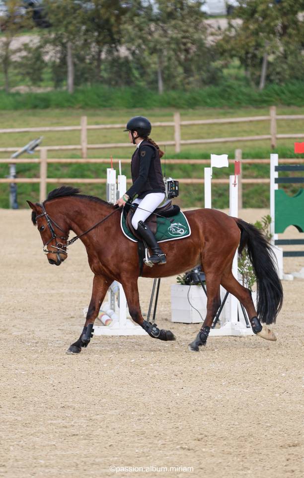 pony in vendita