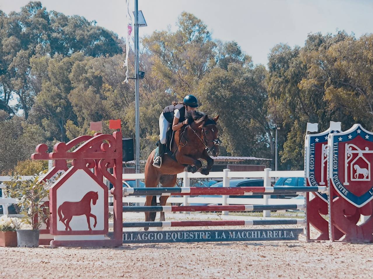 pony in vendita