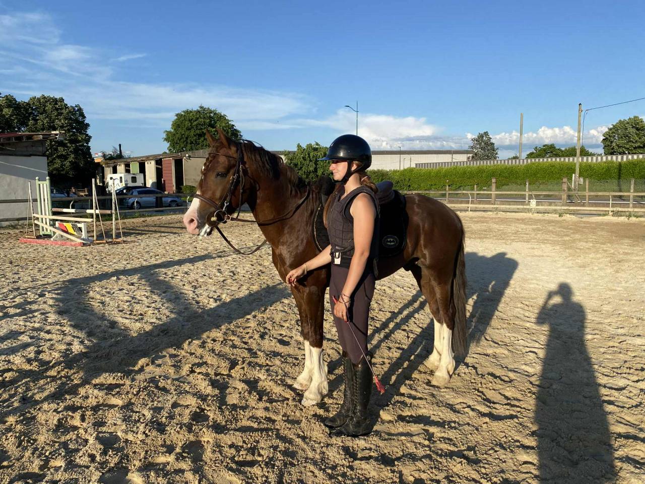 Castrone PFS Pony Francese da Sella In vendita 2021 Sauro brul&eacute;