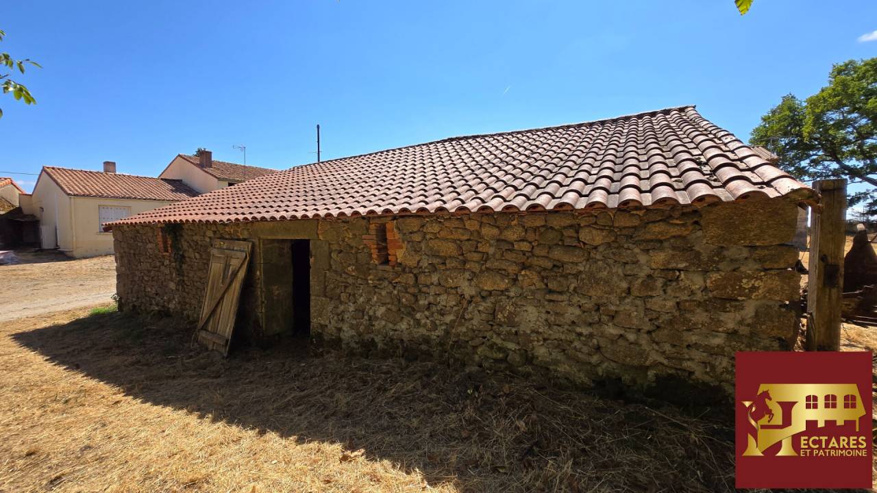Propriet&agrave; equestre In vendita Vend&eacute;e