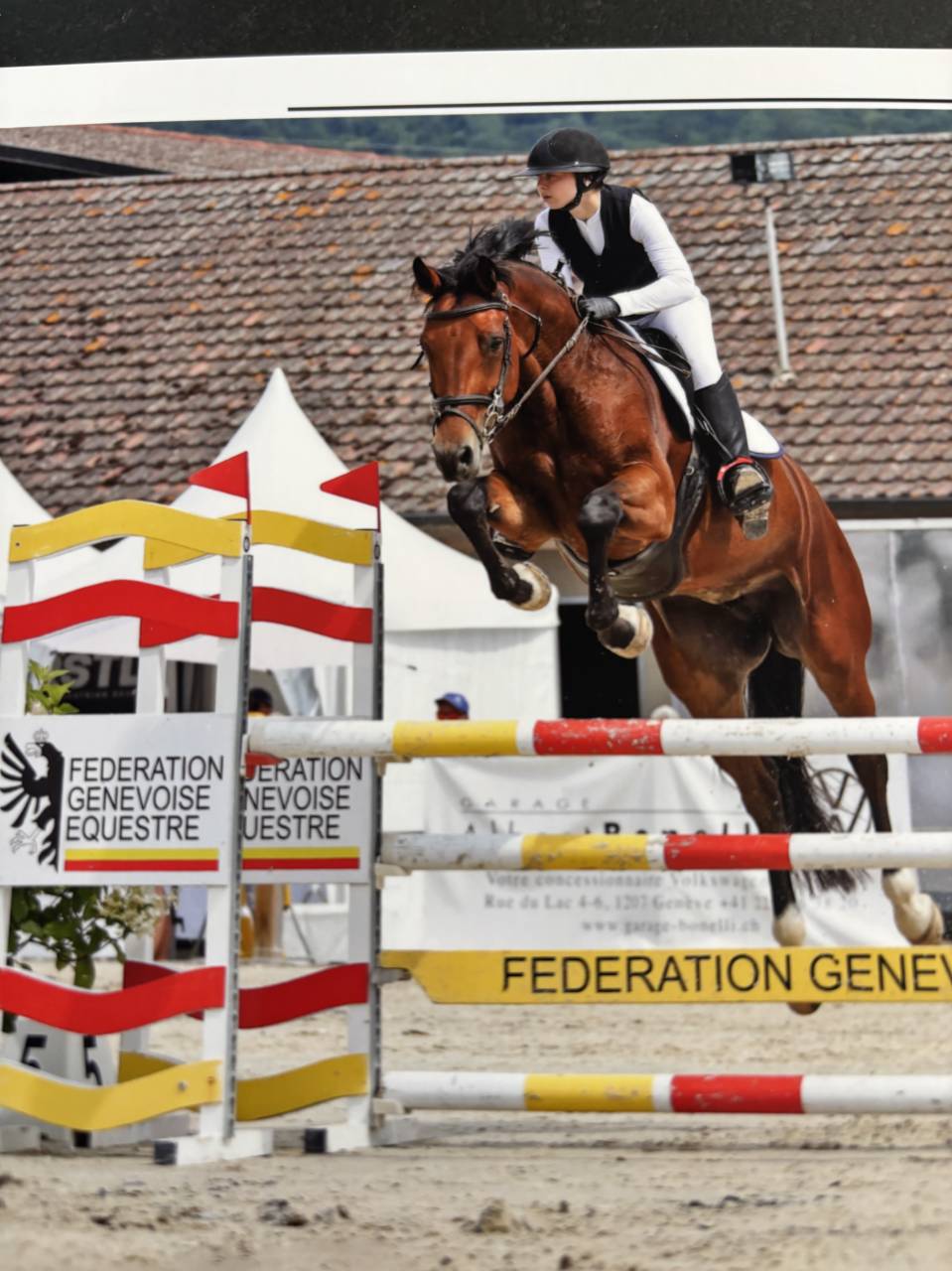 Cavalla KWPN Cavallo da Sport Neerlandese In vendita 2020 Baio ,  Opium JW VAN DER MOERHOEVE TN
