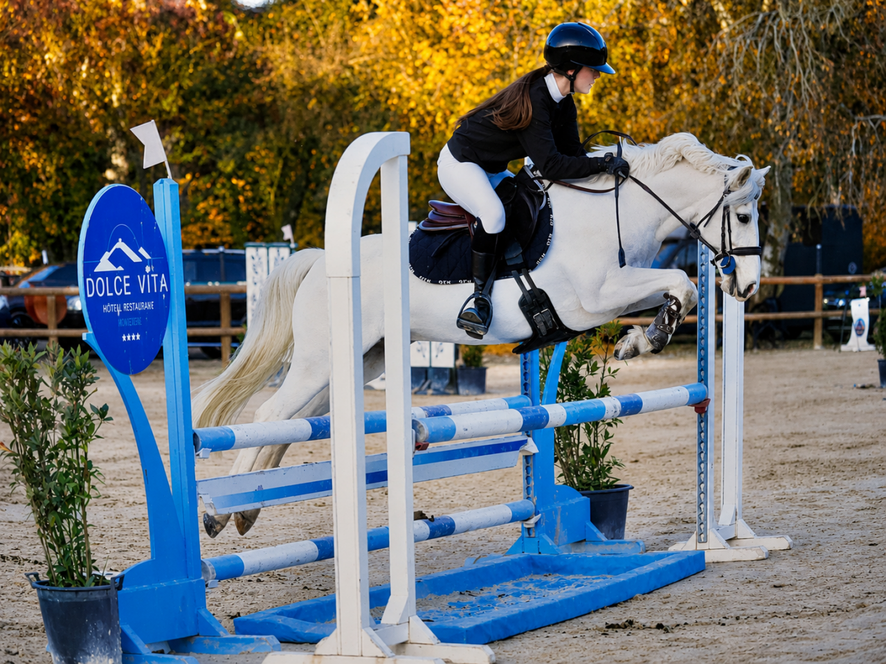 Castrone PFS Pony Francese da Sella In vendita 2017 Palomino