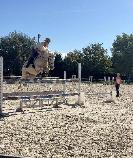 Castrone PFS Pony Francese da Sella In vendita 2017 Palomino