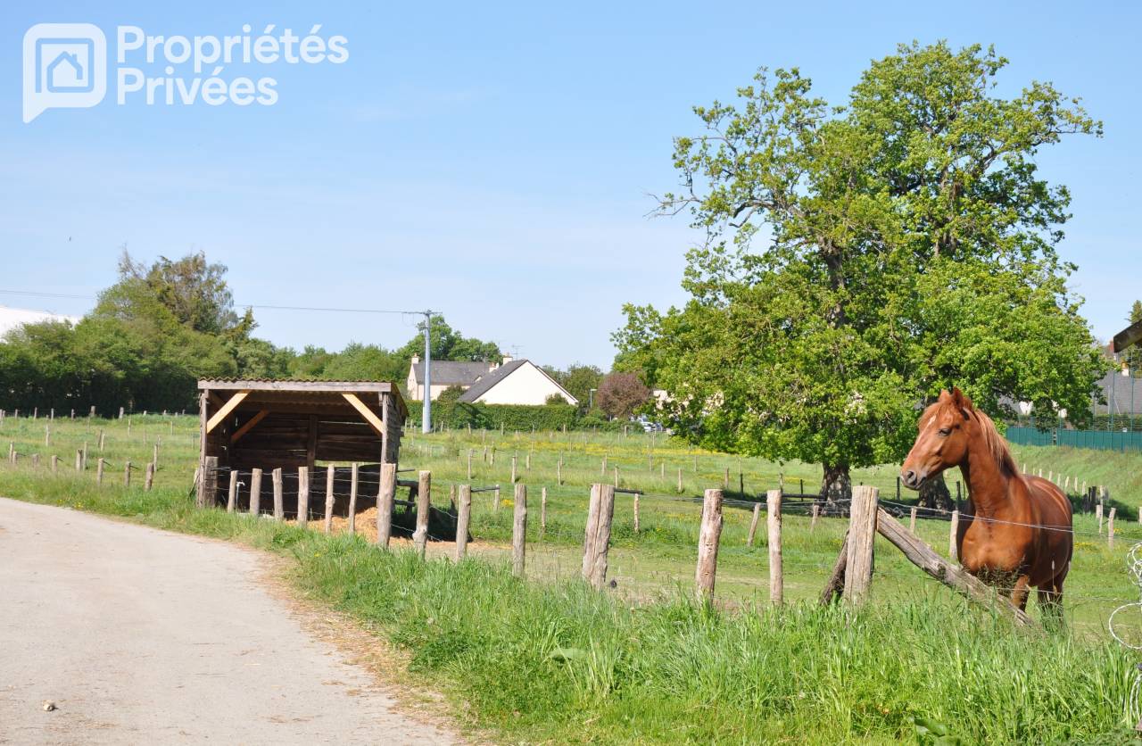 Centro ippico In vendita Mayenne