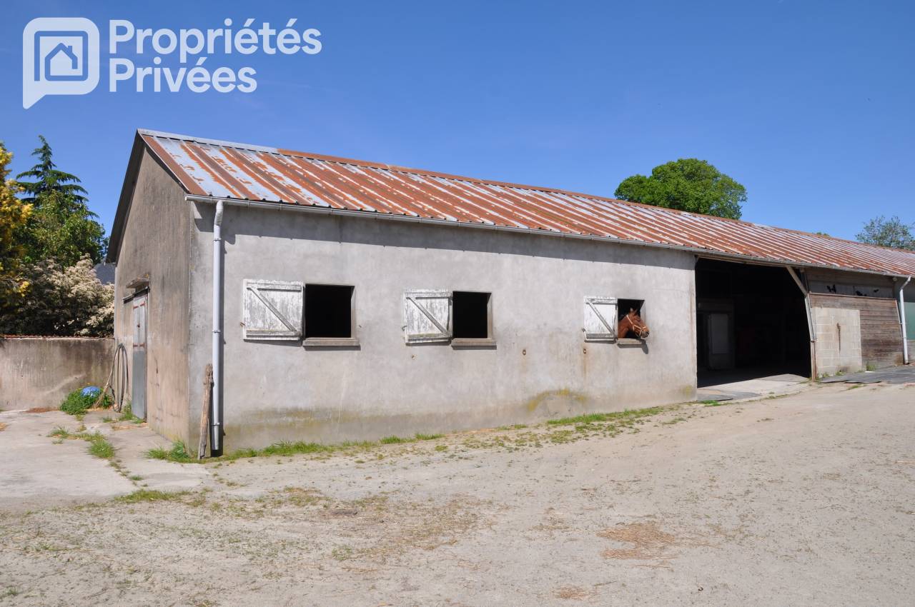 Centro ippico In vendita Mayenne
