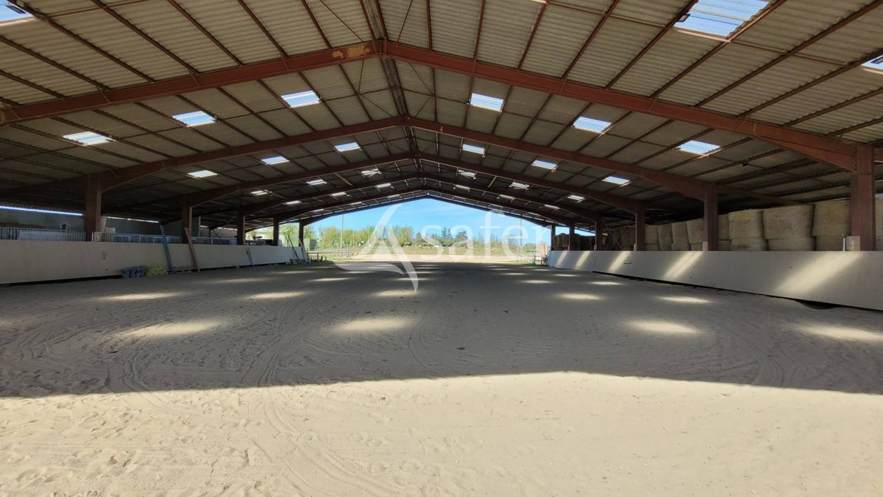 Propriet&agrave; equestre In vendita tarn
