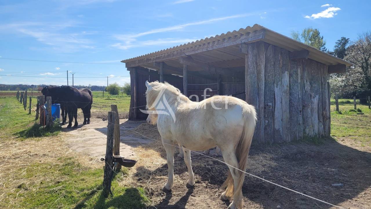 Propriet&agrave; equestre In vendita tarn