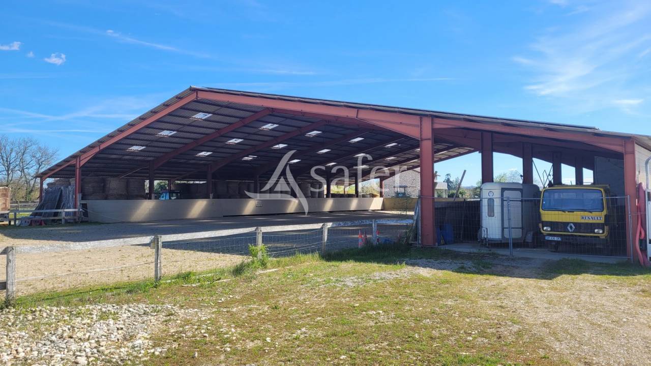 Propriet&agrave; equestre In vendita tarn