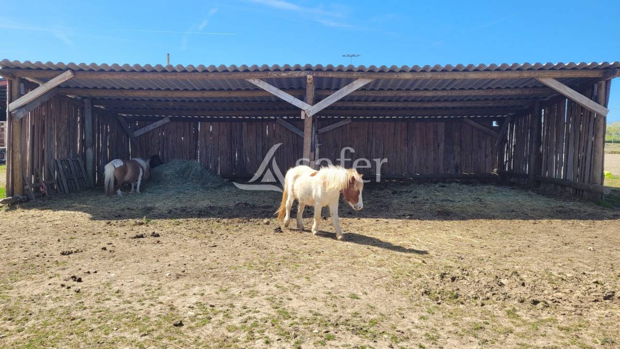 Propriet&agrave; equestre In vendita tarn