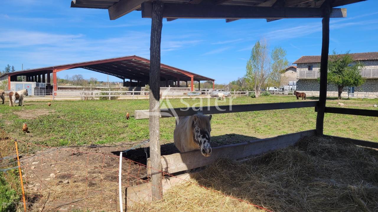 Propriet&agrave; equestre In vendita tarn