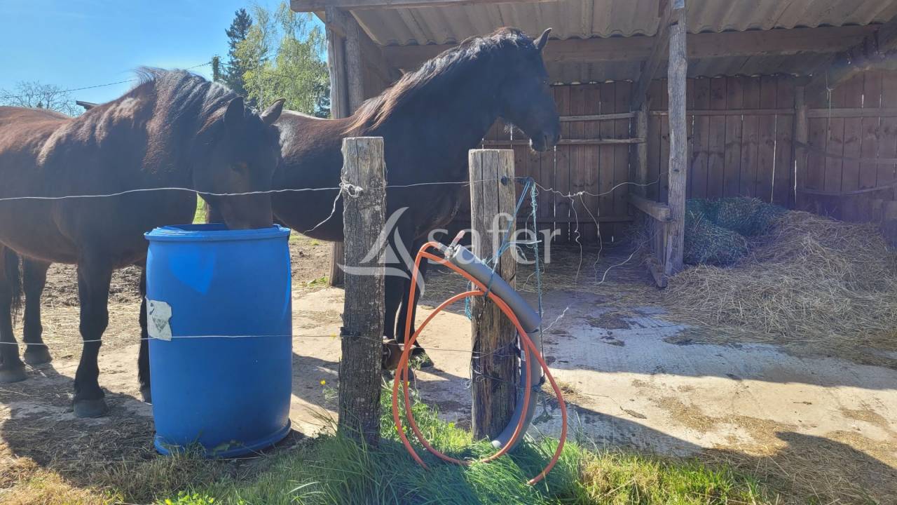 Propriet&agrave; equestre In vendita tarn