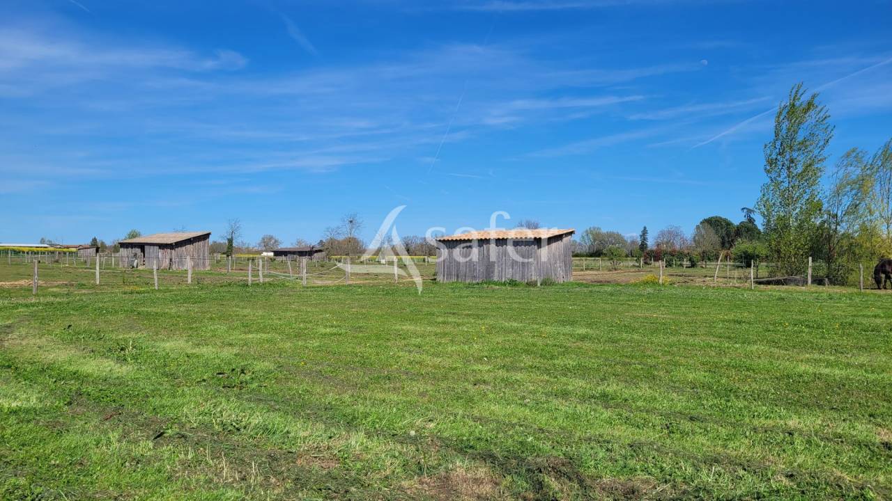 Propriet&agrave; equestre In vendita tarn