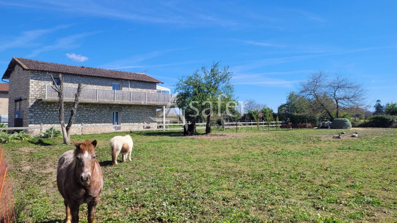 Propriet&agrave; equestre In vendita tarn