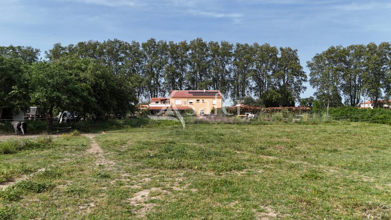 Propriet&agrave; equestre In vendita Pyr&eacute;n&eacute;es-Orientales