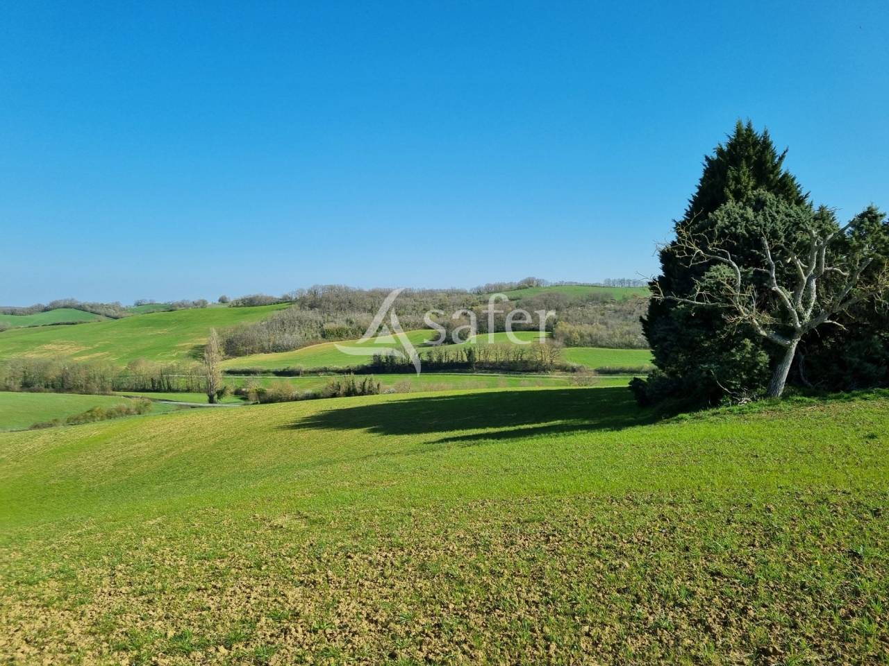 Azienda agricola In vendita Gers