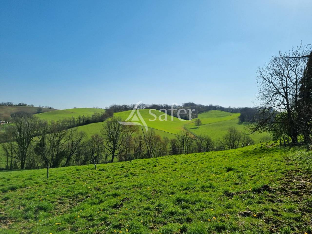 Azienda agricola In vendita Gers