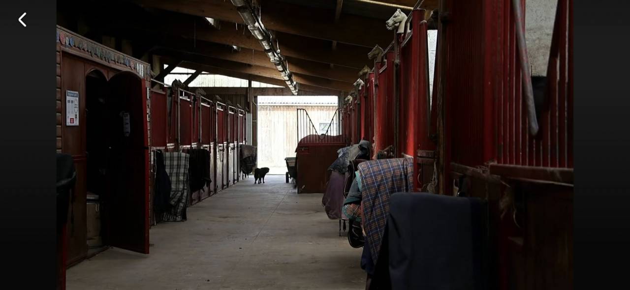 Scuderia per proprietari In vendita Loire-Atlantique