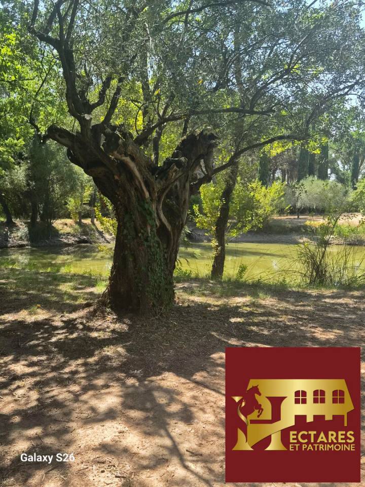 Propriet&agrave; equestre In vendita Var