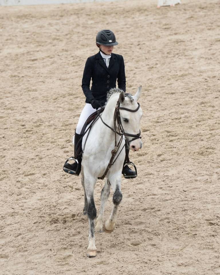 Castrone PFS Pony Francese da Sella Noleggio 2017 Grigio