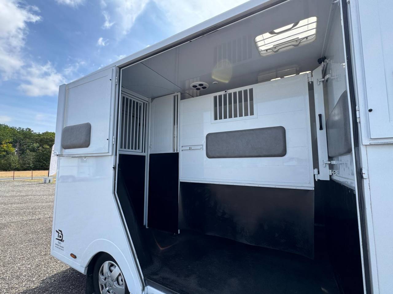 Van per Cavalli TBST RENAULT MASTER 2023 Occasione
