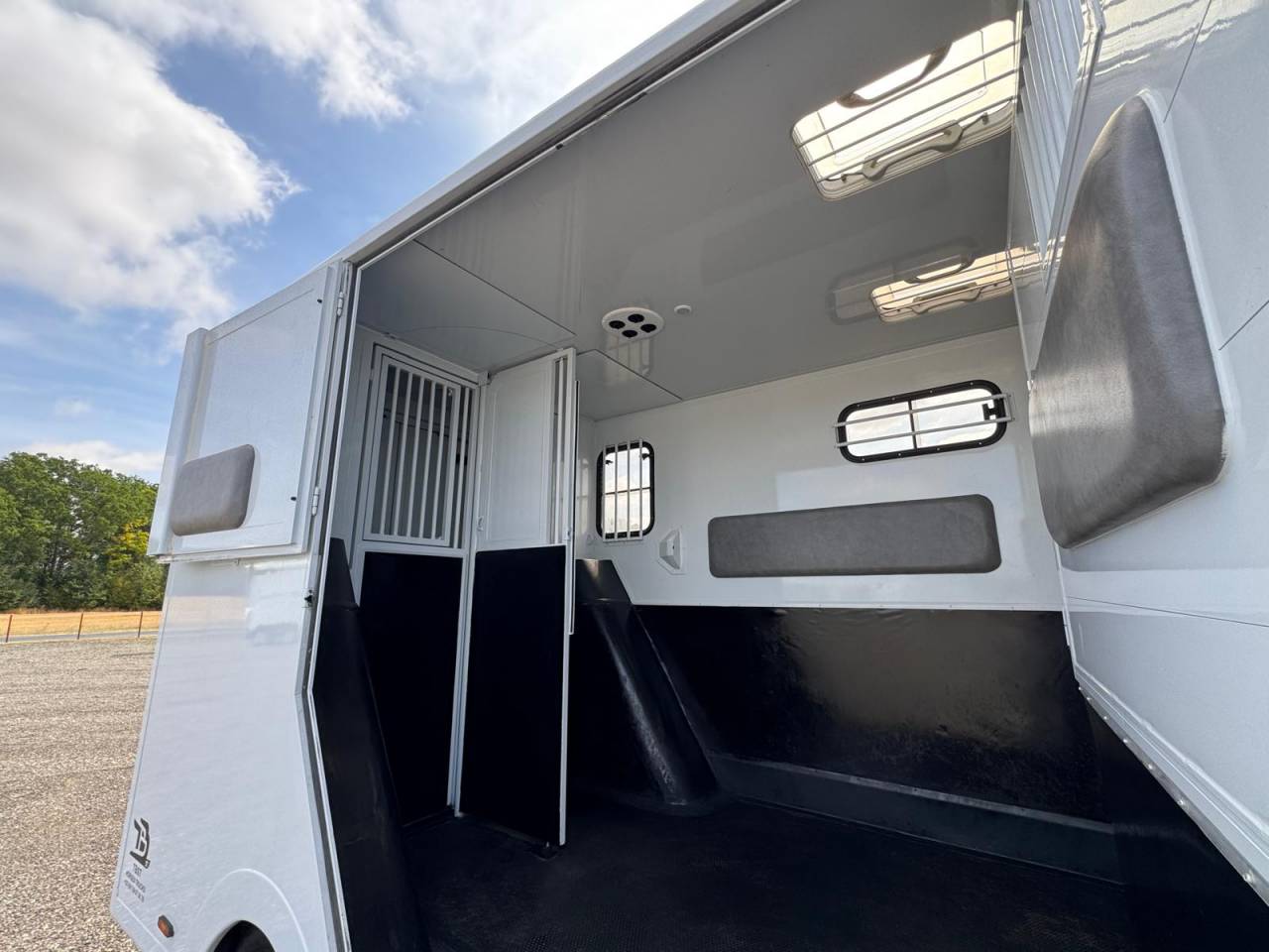 Van per Cavalli TBST RENAULT MASTER 2023 Occasione