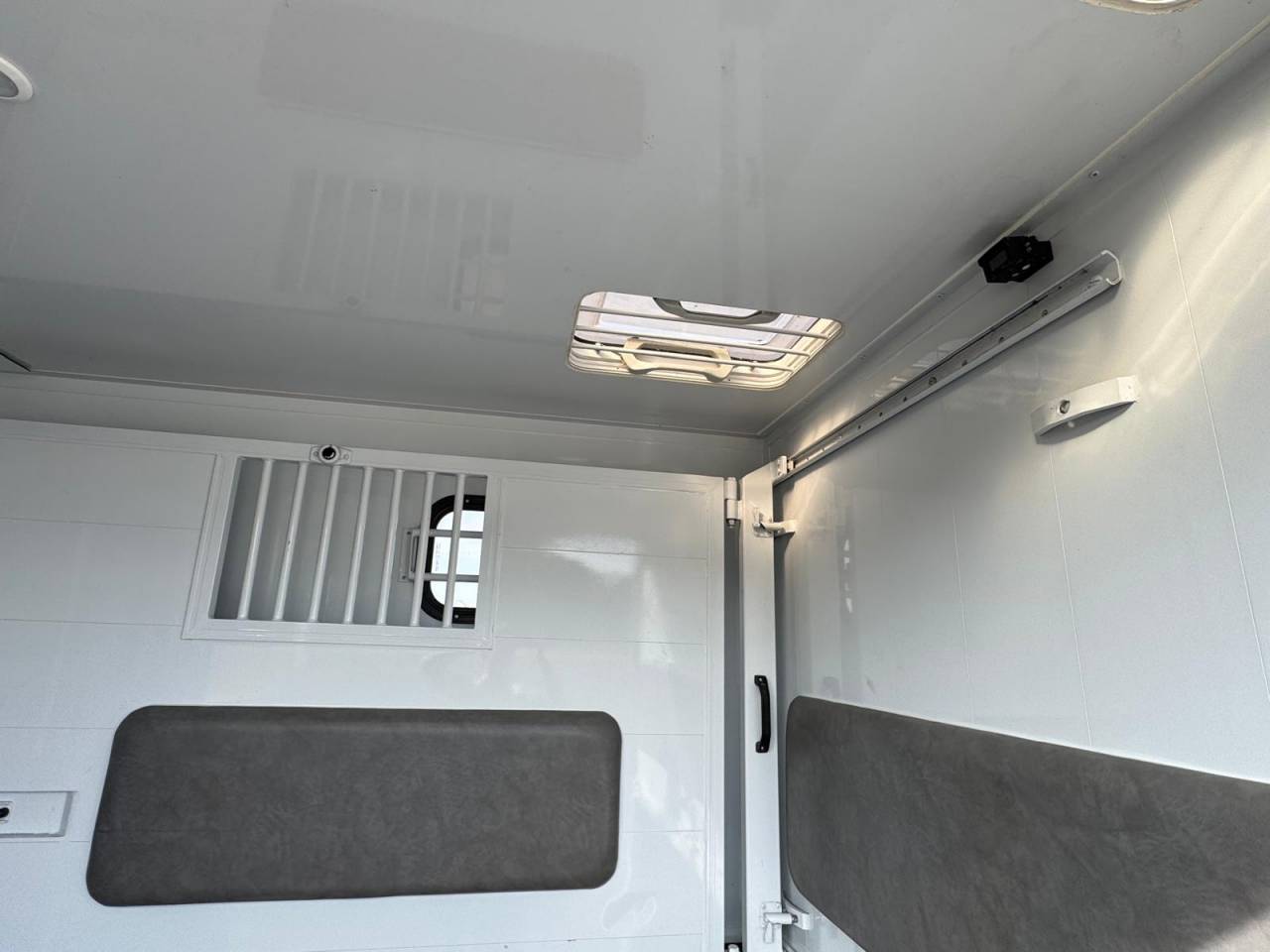 Van per Cavalli TBST RENAULT MASTER 2023 Occasione