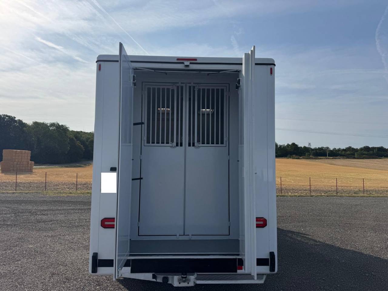 Van per Cavalli TBST RENAULT MASTER 2023 Occasione