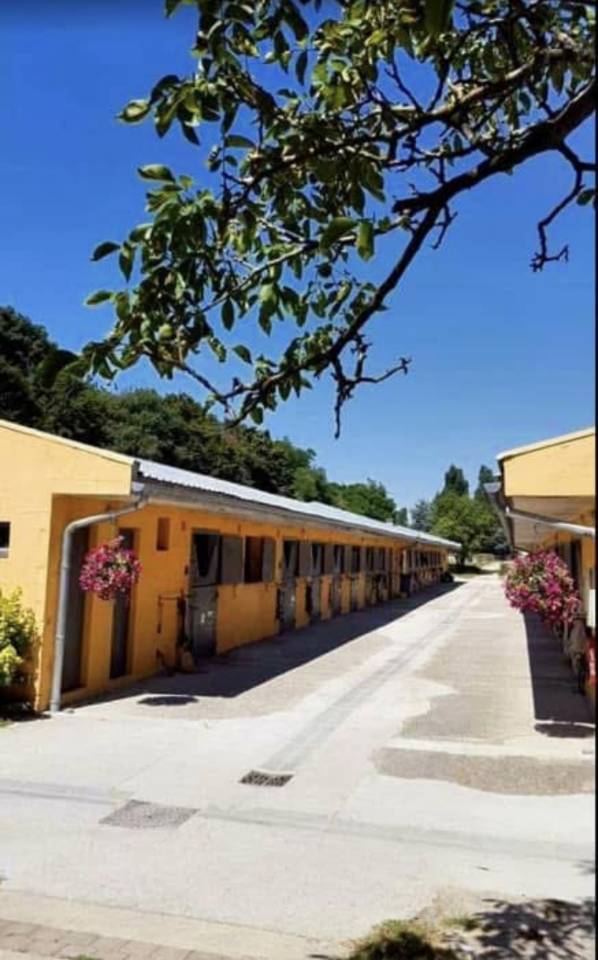 Scuderia per proprietari Noleggio Seine-et-Marne