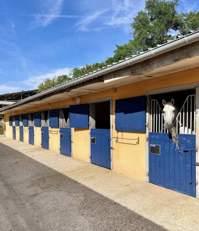 Scuderia per proprietari Noleggio Seine-et-Marne