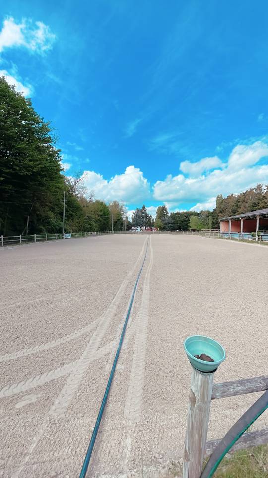 Scuderia per proprietari Noleggio Seine-et-Marne