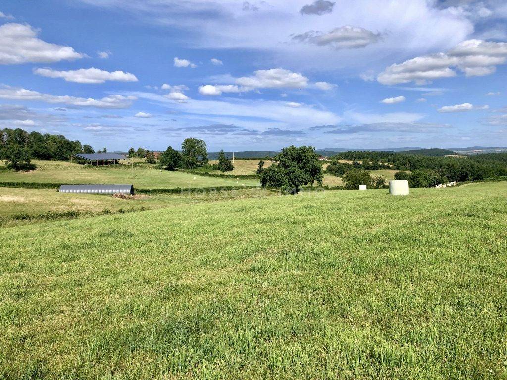 Propriet&agrave; equestre In vendita Sa&ocirc;ne-et-Loire