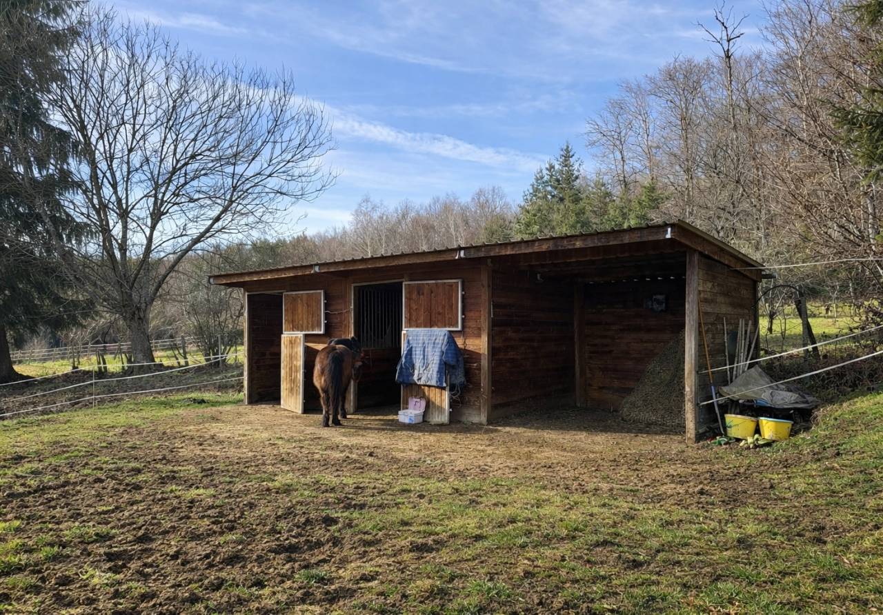 Propriet&agrave; equestre In vendita Corr&egrave;ze