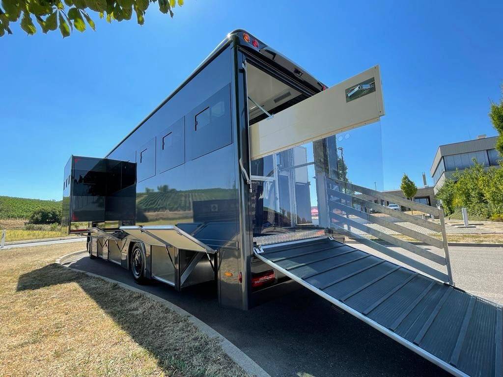 Camion per Cavalli Man MAN TGM 18.320 ANKA POP OUT 2026 Nuovo