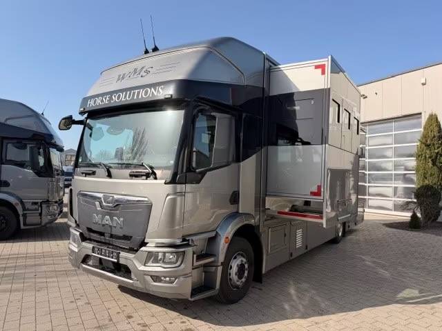 Camion per Cavalli Man MAN TGM 15.290 ANKA POP OUT 2025 Occasione
