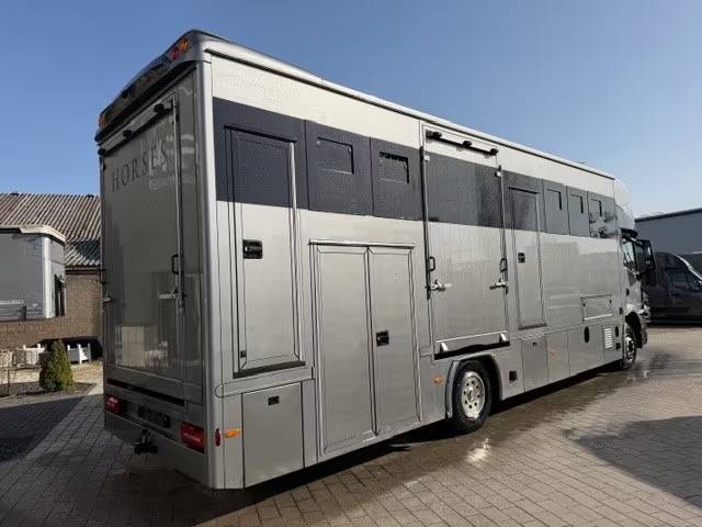 Camion per Cavalli Man MAN TGM 15.290 ANKA POP OUT 2025 Occasione