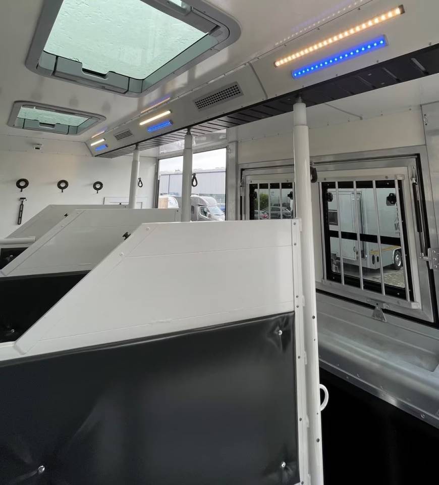 Camion per Cavalli Man MAN TGM 15.290 ANKA POP OUT 2025 Occasione